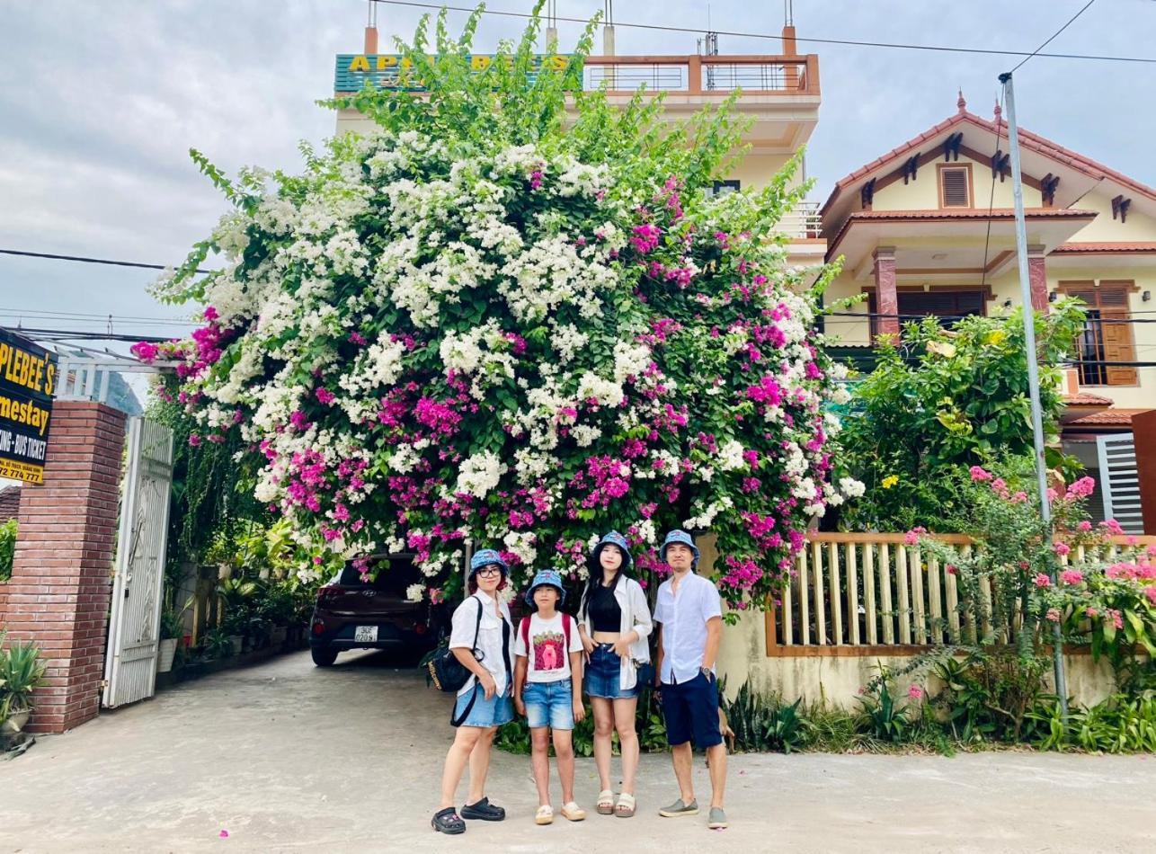 Applebee'S Homestay Phong Nha Exterior photo